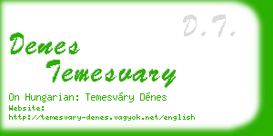 denes temesvary business card